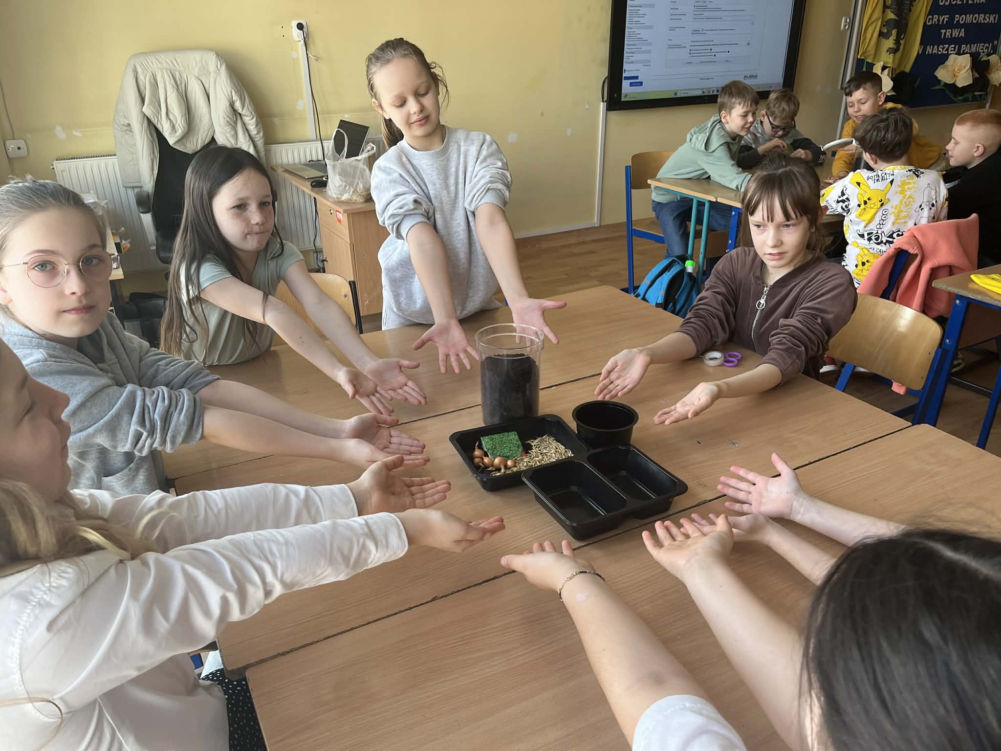 Uczniowie klasy 4 siedzą przy stolikach i sadzą roślinki w pojemnikach.
