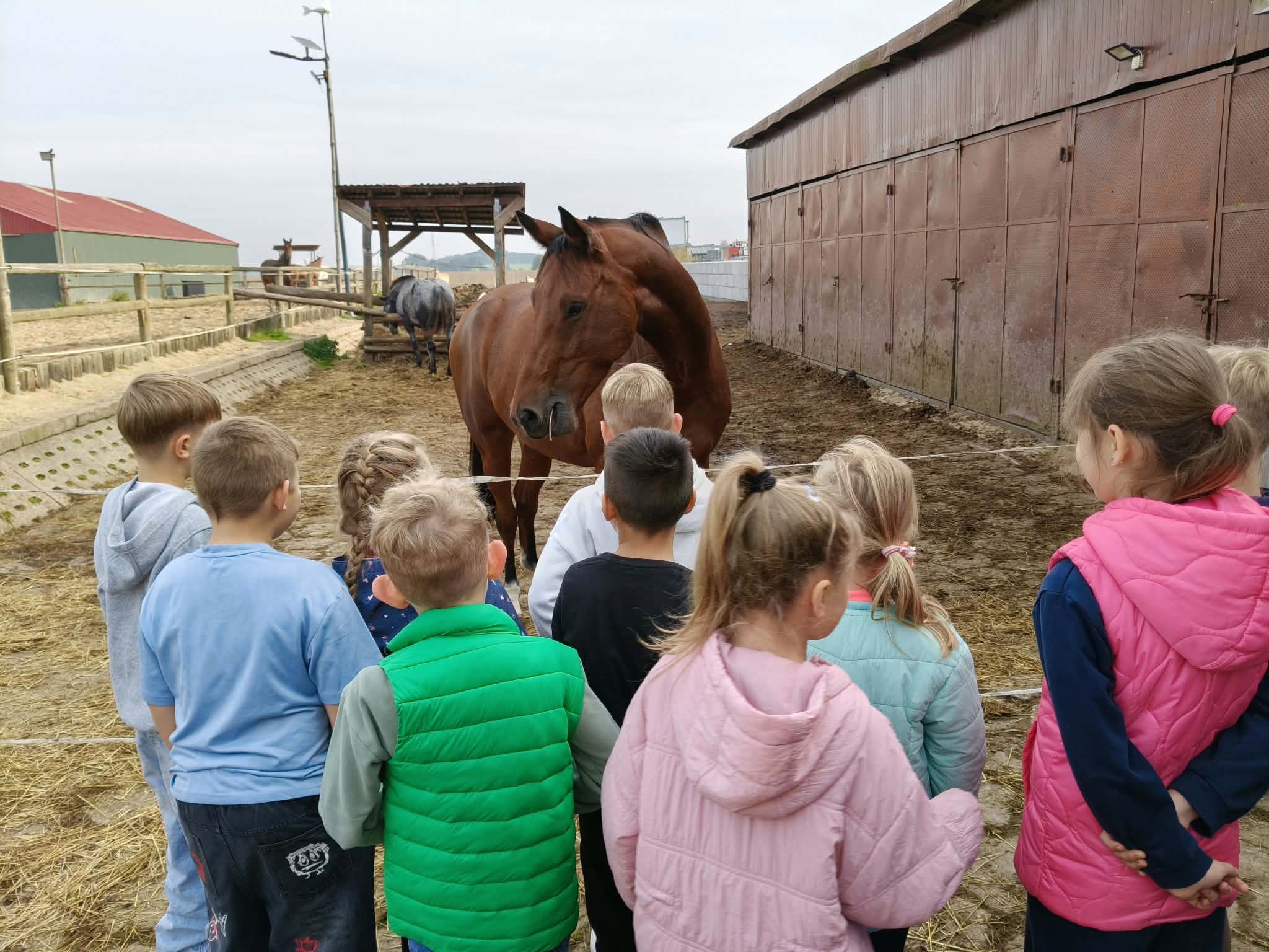 Dzieci oglądają zwierzęta w gospodarstwie agroturystycznym u Rychertów w Kiełpinie.